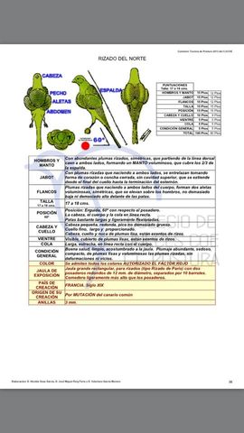 Rizado del Norte