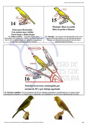 Raza Española