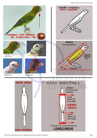 Raza Española
