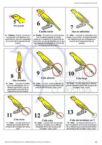 Raza Española